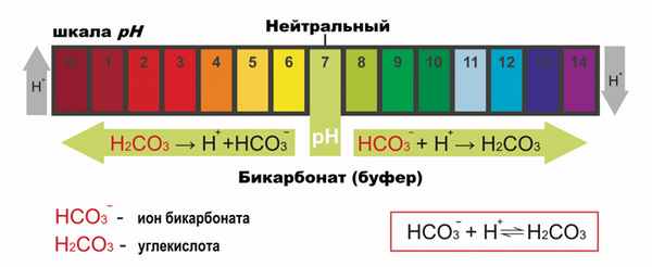 Баланс.jpg