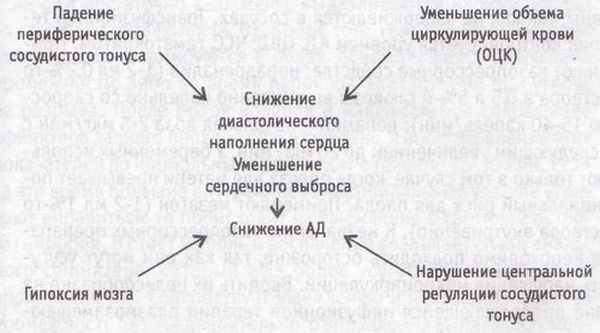 Падение сосудистого тонуса. Механизм развития коллапса. Падение сосудистого тонуса при коллапсе. Обморок этиопатогенез. Коллапс пропедевтика.