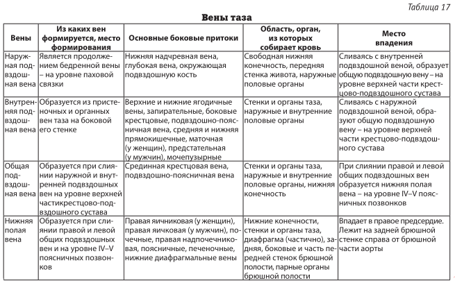Вены таза. Система нижней полой вены анатомия таблица. Вены верхней конечности таблица. Анатомия вен нижних конечностей таблица. Артерии верхней конечности таблица.
