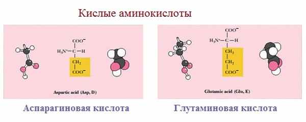 Аминокислоты 2 вариант. Ароматическая неполярная аминокислота. Аминокислоты Тип гибридизации SP 2. Тип гибридизации аминокислот. Кислые аминокислоты.