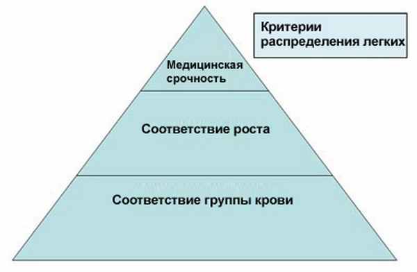 Органы распределения